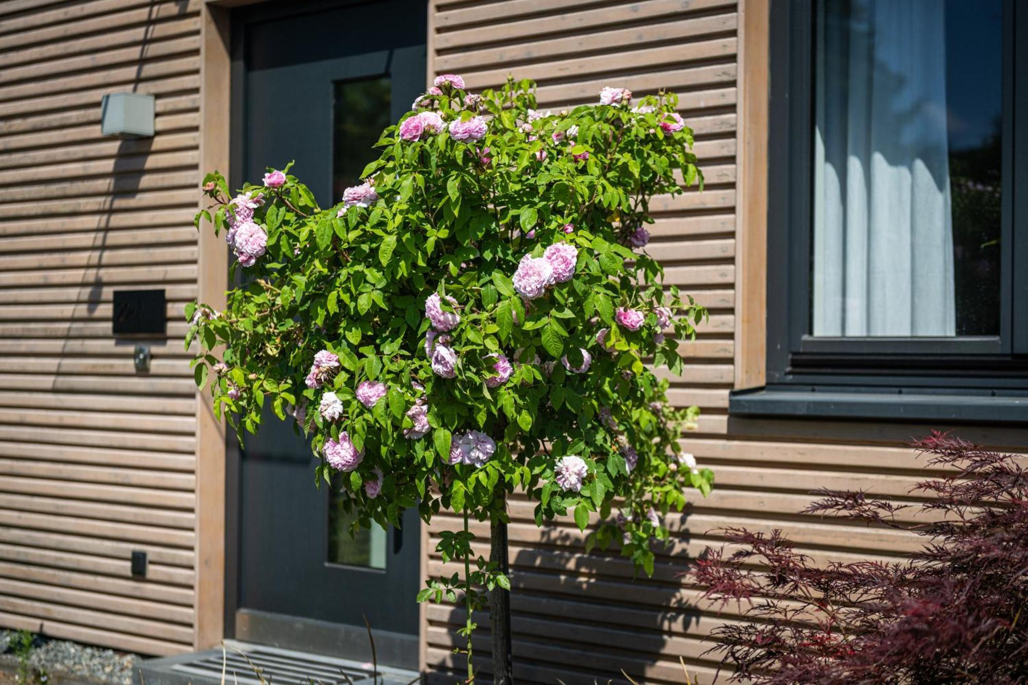 Deine Genuss-Auszeit Villa Asendorf Buitenkant foto